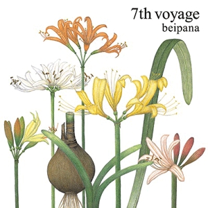 BEIPANA / ベーパナ / 7th Voyage