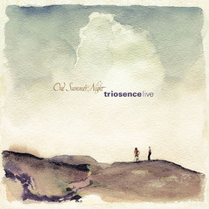 TRIOSENCE / トリオセンス / One Summer Night (LP / 180g)