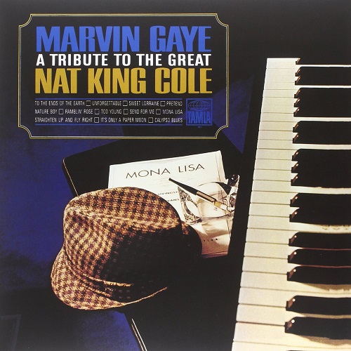 MARVIN GAYE / マーヴィン・ゲイ / A TRIBUTE TO THE GREAT NAT KING COLR (180G LP)