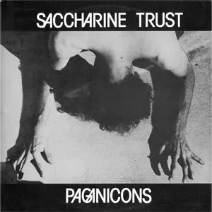 Saccharine Trust PAGANICONS LP 激レア盤 美品 PAGANICONS (12