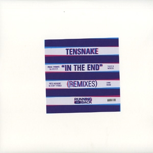 TENSNAKE / テンスネイク / IN THE END (REMIXES)