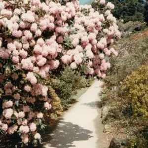 PATRICIA / BEM INVENTORY