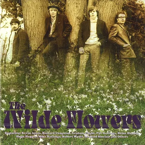 WILDE FLOWERS / ワイルド・フラワーズ / THE WILDE FLOWERS - REMASTER