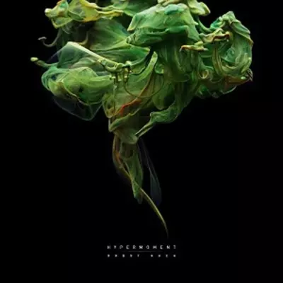 ROBOT KOCH / HYPERMOMENT"2LP"