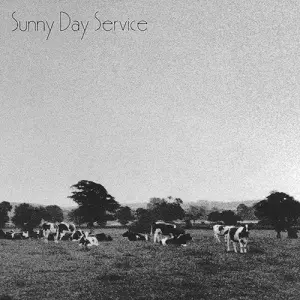 Sunny Day Service / サニーデイ・サービス サニーデイ・サービス/Sunny Day Service/サニーデイ・サービス｜日本