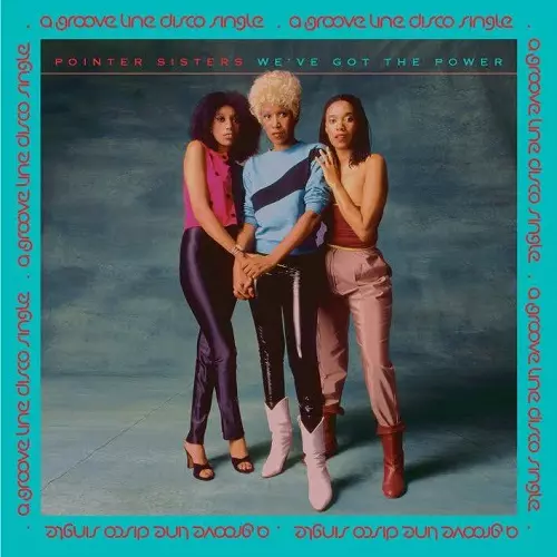 POINTER SISTERS / ポインター・シスターズ / WE'VE GOT THE POWER / EVIL (12")