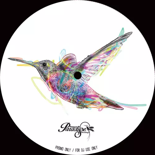BEPPE LODA / ベッペ・ローダ / BEPPE LODA CUTS