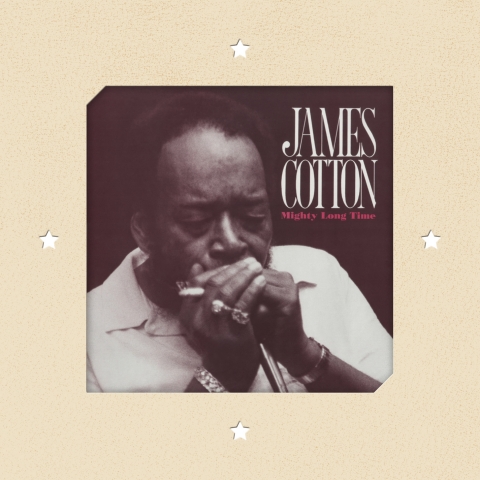 JAMES COTTON / ジェイムズ・コットン / MIGHTY LONG TIME (180G 2LP)
