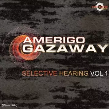 AMERIGO GAZAWAY商品一覧｜JAZZ｜ディスクユニオン・オンライン