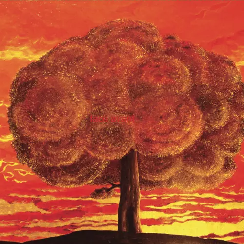 DAS KOMPLEX / KACZENCE