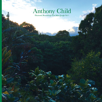 ANTHONY CHILD (SURGEON) / ELECTRONIC RECORDINGS FROM MAUI JUNGLE VOL.1
