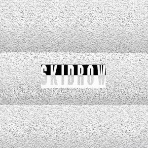 JAMES FERRARO / ジェイムス・フェラーロ / SKID ROW