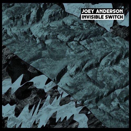 JOEY ANDERSON / ジョイ・アンダーソン / INVISIBLE SWITCH