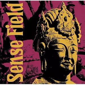 Sense Field / Building LP アナログレコード Sense Field - 