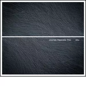 JOONAS HAAVISTO / ヨーナス・ハーヴィスト / oku / オク