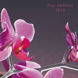 V.A.(POP AMBIENT) / POP AMBIENT 2016