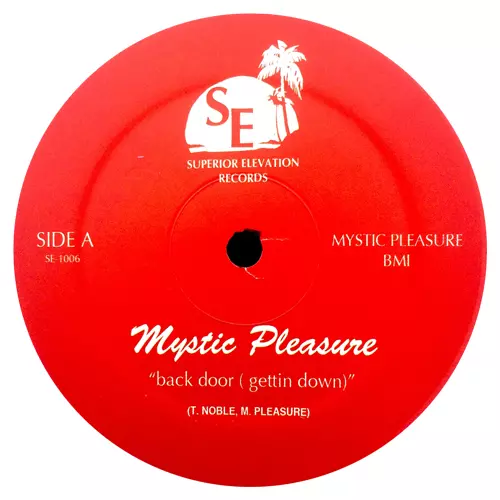 TOM NOBLE & MYSTIC PLEASURE / BACK DOOR (12")