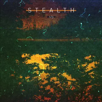 BEE MASK/PETER VAN HOESEN / STEALTH 1/3