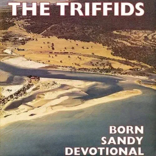 TRIFFIDS / トリフィッズ / BORN SANDY DEVOTIONAL (LP)