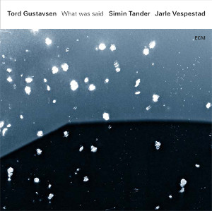 TORD GUSTAVSEN / トルド・グスタフセン / What Was Said(CD)