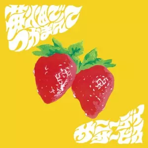 サニーデイ・サービス birth of a kiss 初回盤 BOX 廃盤