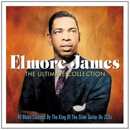 ◾️ブルース名盤■ELMORE JAMES ■エルモア・ジェームス ■Someth 今年で生誕100年を迎えたブルースマン、エルモア・ジェームスの