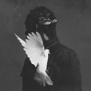 PUSHA T商品一覧｜HIPHOP / 日本語RAP｜ディスクユニオン