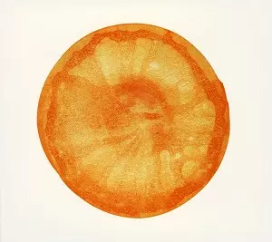 5/25発売 フィッシュマンズ25周年を記念したアニバーサリーイヤー第2弾