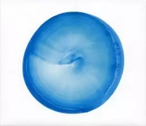 5/25発売 フィッシュマンズ25周年を記念したアニバーサリーイヤー第2弾