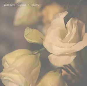 SEIICHI YAMAMOTO / 山本精一 / Lights(アナログ)