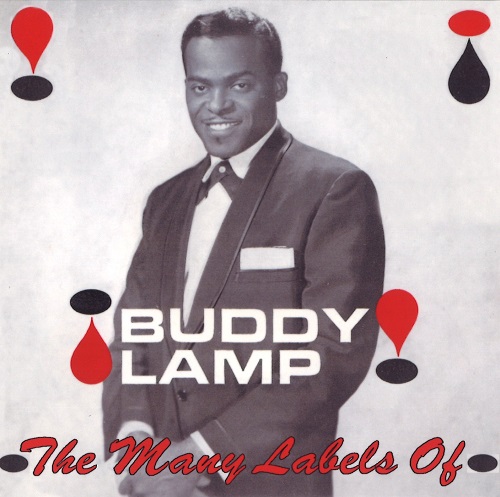 BUDDY LAMP / MANY LABELS OF BUDDY LAMP (CD-R)