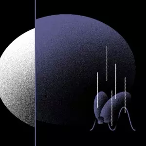 SUGAI KEN / 如の夜庭