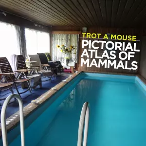 SIMON JERMYN / Pictorial Atlas of Mammals