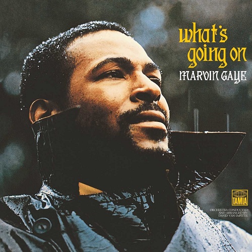 MARVIN GAYE / マーヴィン・ゲイ / WHAT'S GOING ON (180G LP)