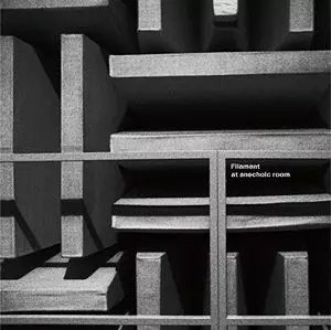 FILAMENT / フィラメント / Filament at anechoic room / フィラメント・アット・アンエコーイック・ルーム(LP)
