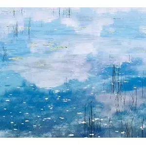 AMJ MEETS RSD / SKY BLUE LOVE