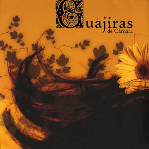 CAMERATA DEL SON / カメラータ・デル・ソン / AL SON DE UNA CAMERATA