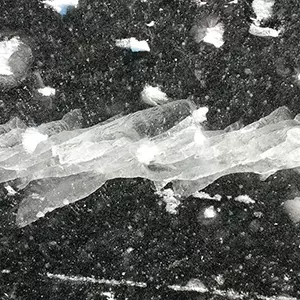 FRANCE JOBIN / SINGULUM