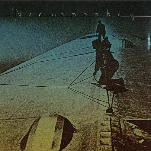 NECROMONKEY / ネクロモンキー / A GLIMPSE OF POSSIBLE ENDINGS: LIMITED COLOUR VINYL - 180g LIMITED VINYL