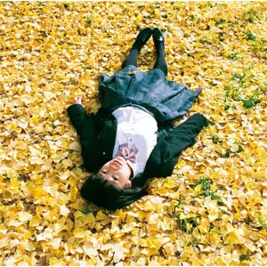 銀杏BOYZ トリビュートプロジェクト始動】 トリビュートCD・写真集