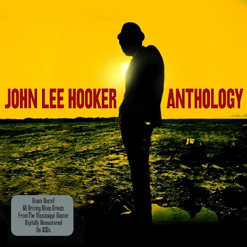 JOHN LEE HOOKER / ジョン・リー・フッカー / ANTHOLOGY (3CD)