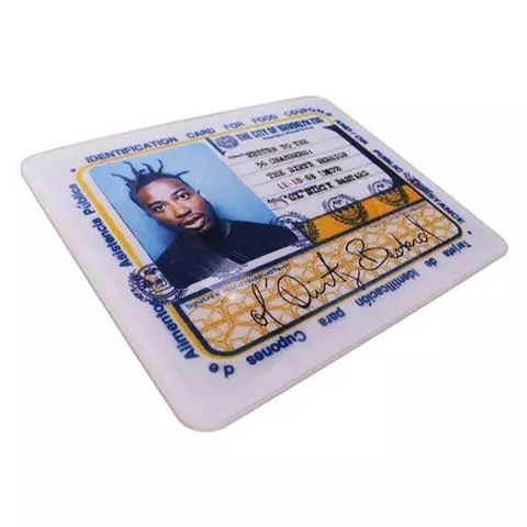 OL' DIRTY BASTARD / オール・ダーティ・バスタード / BROOKLYN ZOO / SHIMMY SHIMMY YA "7"