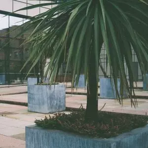 MARX TRUKKER / AMONG CLIMETREE HARBORS