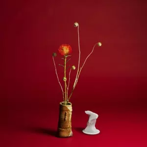 SEIHO / COLLAPSE (LP+DL CARD)