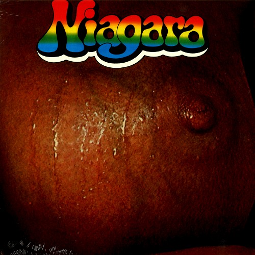 NIAGARA (DEU) / ナイアガラ / NIAGARA - 180g LIMITED VINYL/REMASTER