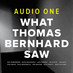 AUDIO ONE(KEN VANDERMARK)  / オーディオ・ワン / What Thomas Bernhard Saw