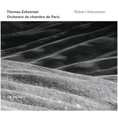 THOMAS ZEHETMAIR / トーマス・ツェートマイアー / SCHUMANN: VIOLIN CONCERTO / SYMPHONY NO.1