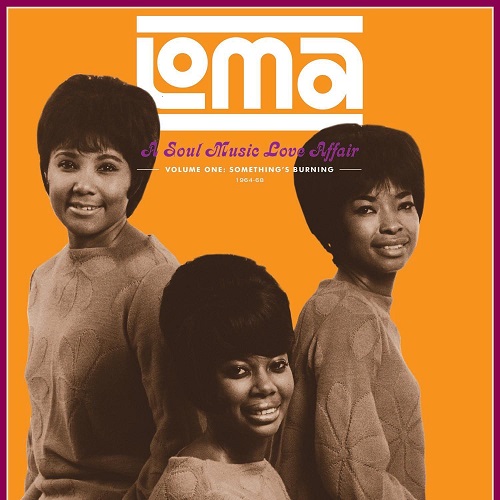 V.A. (LOMA - A SOUL MUSIC LOVE AFFAIR) / オムニバス / LOMA: A SOUL MUSIC LOVE AFFAIR VOL.1 - SOMETHING'S BURNING 1964-68 (LP)