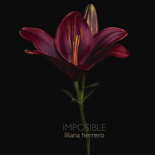 LILIANA HERRERO / リリアナ・エレーロ / IMPOSIBLE
