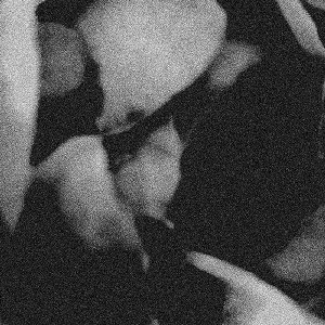 CIO D'OR / ALL IN ALL REMIXED